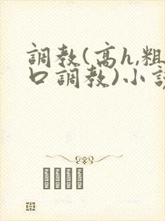 调教(高h,粗口调教)小说