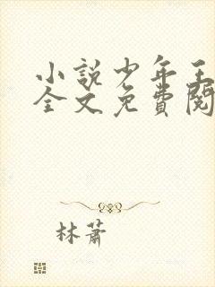 小说少年王王巍全文免费阅读全文