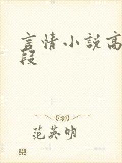 言情小说高潮片段