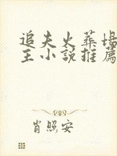 追夫火葬场双男主小说推荐