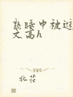 熟睡中被进了h文高h