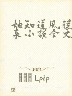 她知道风从哪里来小说全文免费阅读