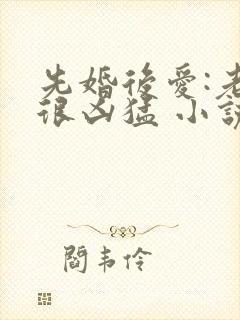 先婚后爱:老公很凶猛 小说免费阅读