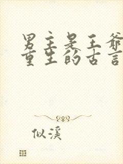 男主是王爷女主重生的古言封面