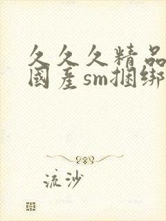 久久久精品调教国产sm捆绑