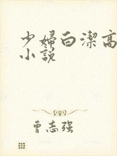 少妇白洁高义的小说