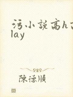 污小说高h高play