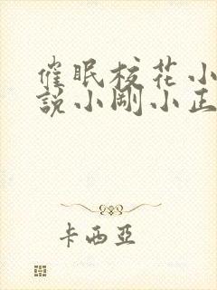 催眠校花小柔小说小刚小正