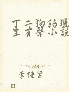 丁二狗的猎艳人生有声小说