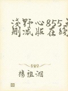 浅野心855无删减版在线播放下载