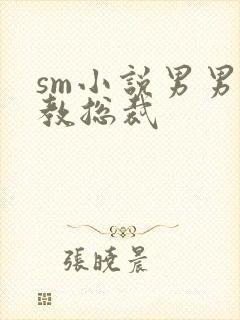 sm小说男男调教总裁