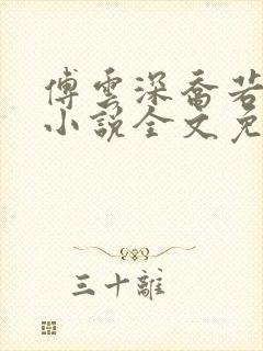 傅云深乔若桑的小说全文免费阅读