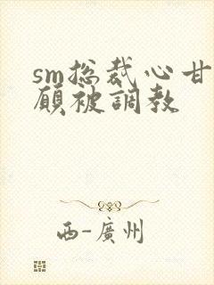 sm总裁心甘情愿被调教封面