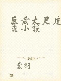 巨黄大尺度全肉爽小说封面