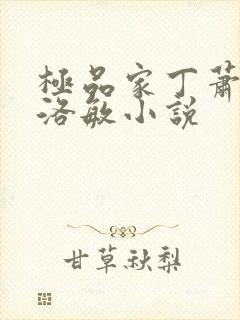 极品家丁萧夫人洛敏小说