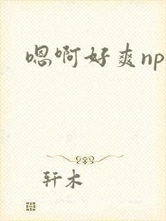 嗯啊好爽np封面