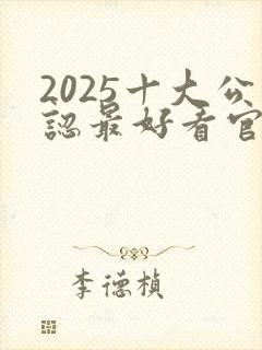 2025十大公认最好看官场小说