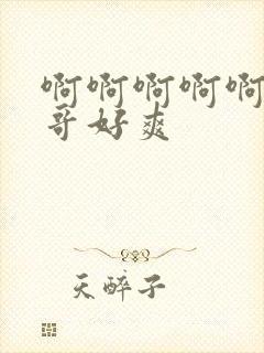 啊啊啊啊啊啊哥哥好爽