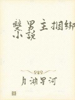 双男主捆绑调教小说