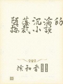 堕落沉沦的冷艳总裁小说封面