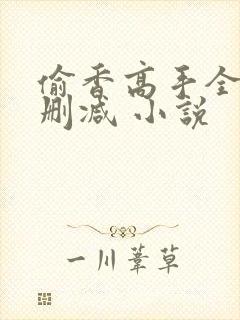 偷香高手全文无删减 小说