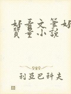 好看文笔好的高质量小说封面