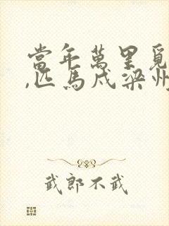 当年万里觅封侯,匹马戍梁州