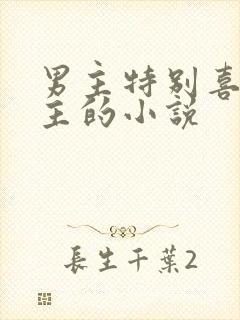 男主特别喜欢女主的小说封面