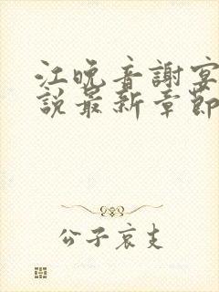 江晚音谢宴今小说最新章节更新内容