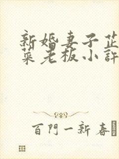 新婚妻子芷珊和菜老板小许小说免费阅读