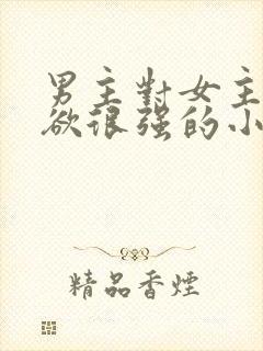 男主对女主占有欲很强的小说