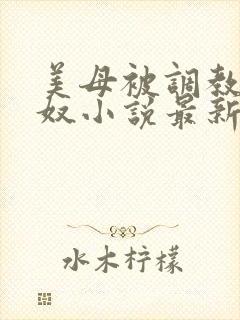 美母被调教成肉奴小说最新章节