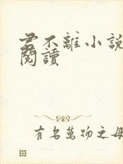 君不离小说免费阅读封面