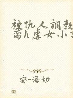被仇人调教成禁脔h虐女小说封面