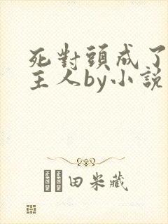 死对头成了我的主人by小说