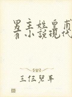 男主姓皇甫的所有小说现代言情封面