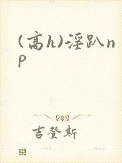 (高h)淫趴np