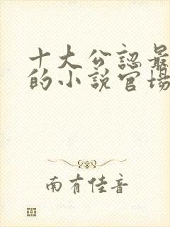 十大公认最好看的小说官场