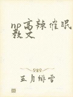 np高辣催眠调教文