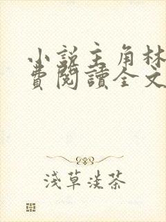 小说主角林峰免费阅读全文最新章节