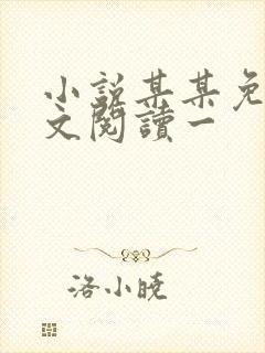 小说某某免费全文阅读一封面
