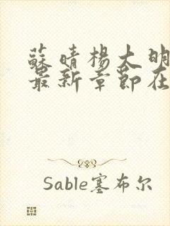 苏晴杨大明小说最新章节在线阅读