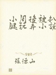小周后被扒开双腿玩弄小说封面