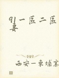 91一区二区人妻