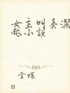 女主叫秦澜的穿越小说