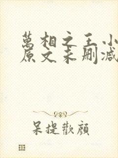 万相之王小说 原文未删减封面