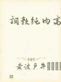 调教纯肉高h