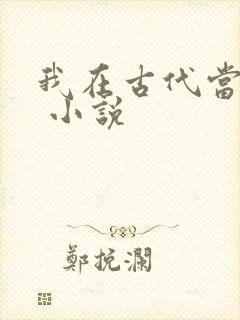 我在古代当王爷 小说