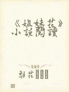 《姐妹花》陈刚小说阅读