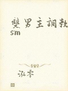 双男主调教小说sm